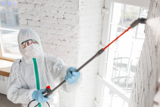Best Mold Documentation for Insurance Claims  in Pagosa Springs, CO