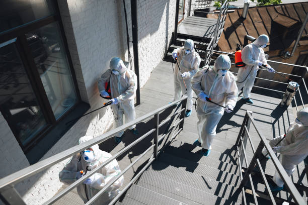 Best Asbestos and Lead Testing During Mold Inspection  in Pagosa Springs, CO