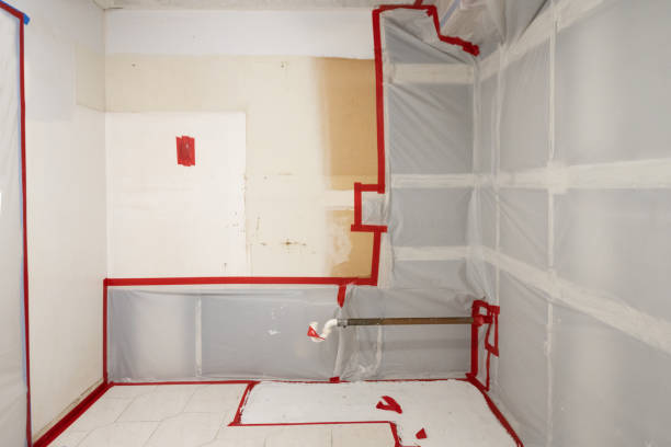 Best Air Quality Testing for Mold Spores  in Pagosa Springs, CO